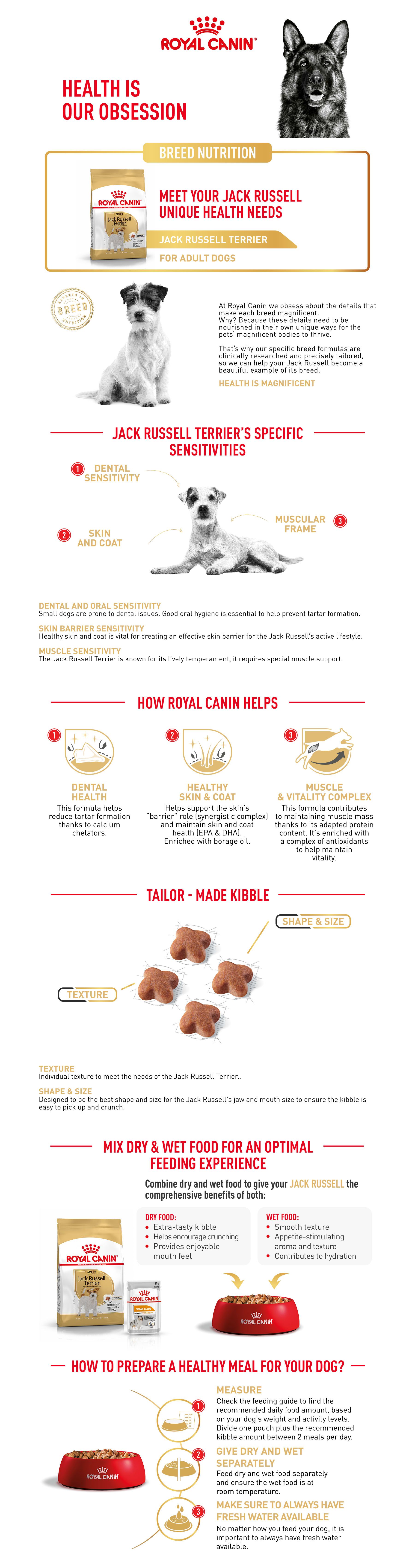Royal canin jack on sale russell terrier puppy